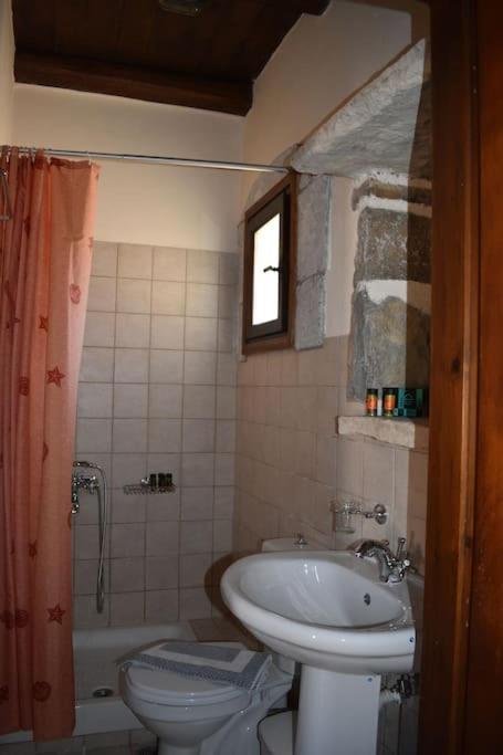 Traditional Villa With Pool In Sfakia Imbros Extérieur photo